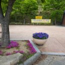 망향정휴게소 이미지