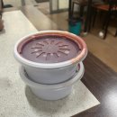 무을칼국수 이미지