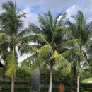 헤이풀빌라4 이미지