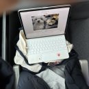 음하하 | 🙀음하하! ADHD의 진면목을 보여주마! 12월 냥이의 일상- 상편-❄️