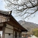 [장성군]백양사 템플스테이 선명상 주간 특별 프로그램 2030 만원에 참가한 후기
