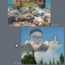 좋은친구들피씨방 이미지