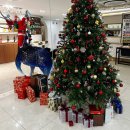 호텔 시그니처 | 청주호캉스 정감호텔 시그니처 더블 B 연박 이용후기