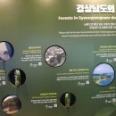 경상남도 산림박물관 이미지