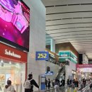 터미널밧데리 | 인천공항 2터미널 보조배터리 및 면세품인도장 위치 후기
