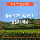 용정사 입구 | [항저우] 중국 최고의 녹차 산지 용정차 마을 가는 방법