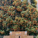 대봉1동 행정복지센터 이미지