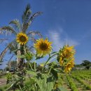 한원리경로당 이미지