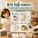 BUN·크레아티닌·eGFR, 투석 치료에서 왜 중요할까요? 이미지