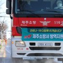 24시요소수