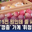 ﻿"한 알 5천 원인데 줄 서"…물가 '껑충' 가계 '휘청' / SBS / 편상욱의 뉴스브리핑 이미지