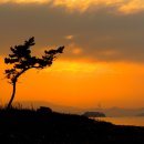 청룡초등학교장고분교장 이미지