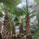 카페브런치 만들기 | 동두천카페 하페리61 양주대형카페 브런치와 빵 솔직 후기