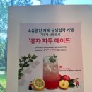 카페바돈