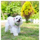 스위트몽 이미지