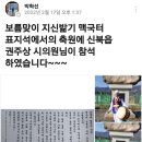 육동시장 Daum카페