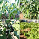 몽산바람팬션 이미지