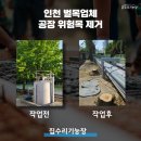 준수정비 | 인천 벌목업체 공단 가로수 정비 및 위험목 제거 완벽 현장 후기