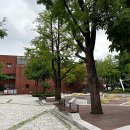 마로니에공원 이미지