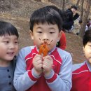 창성유치원 Daum카페