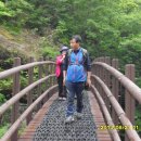 지리산산밭골