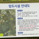 제주 올레길 14코스 | 곶자왈 숲속을 걷다! 짧고 편한 제주 올레길14-1코스