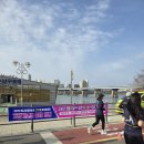 팬&투데이 | 3.1절 마라톤대회, 2026 머니투데이방송. 서울 뚝섬