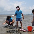 만리포헛개나무농장 이미지