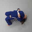 합기도,주짓수,경찰무도 고려전통무예원 이미지