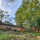 보성열화정>이진래고택 이미지