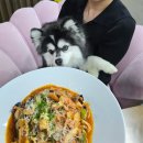 (주)스파크펫 | [서울근교] 양평 펫리퍼블릭 내돈내산 후기: 강아지 입장료 무료, 전구역 오프리쉬, 5월 수영장 개장 정보