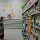 아이러브 펫 이미지