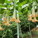 학동초등학교 이미지