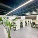 도봉-쌍문-도봉-1240 이미지