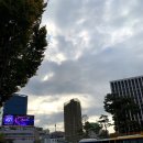 태창사세탁 | 동대문 원단시장에 가다(소매, 자투리 원단 매장 정리)