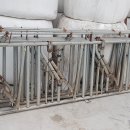 은혜축산 이미지