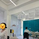 유한대학 | [승무원 면접학원 후기] 한끗 차이, 교수님이 전하는 항공과 합격전략