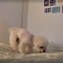 화동한의원 | 그냥, 여름에 있었던 일들 🌿