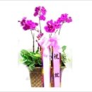 동삼1동-16 이미지