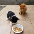 귀덕농장 이미지