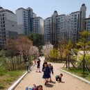 매봉초병설유치원 이미지