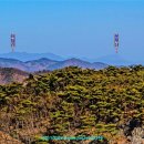 죽림산 정상 이미지