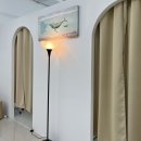 양산바디관리 [클리티뷰티] 남성 바디리턴테라피 등케어 후기