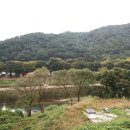 도명산펜션