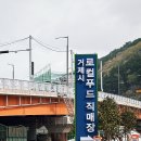 거제아이와 거제로컬누리센터 딸기타르트 체험 후기