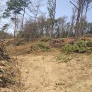 사항농장 이미지