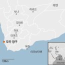 네덜란드 동인도회사가 주도했던 커피 재배와 유통의 역사 이미지