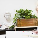 서정학원 이미지