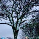 광명시청 이미지