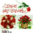 수요일꽃집 이미지